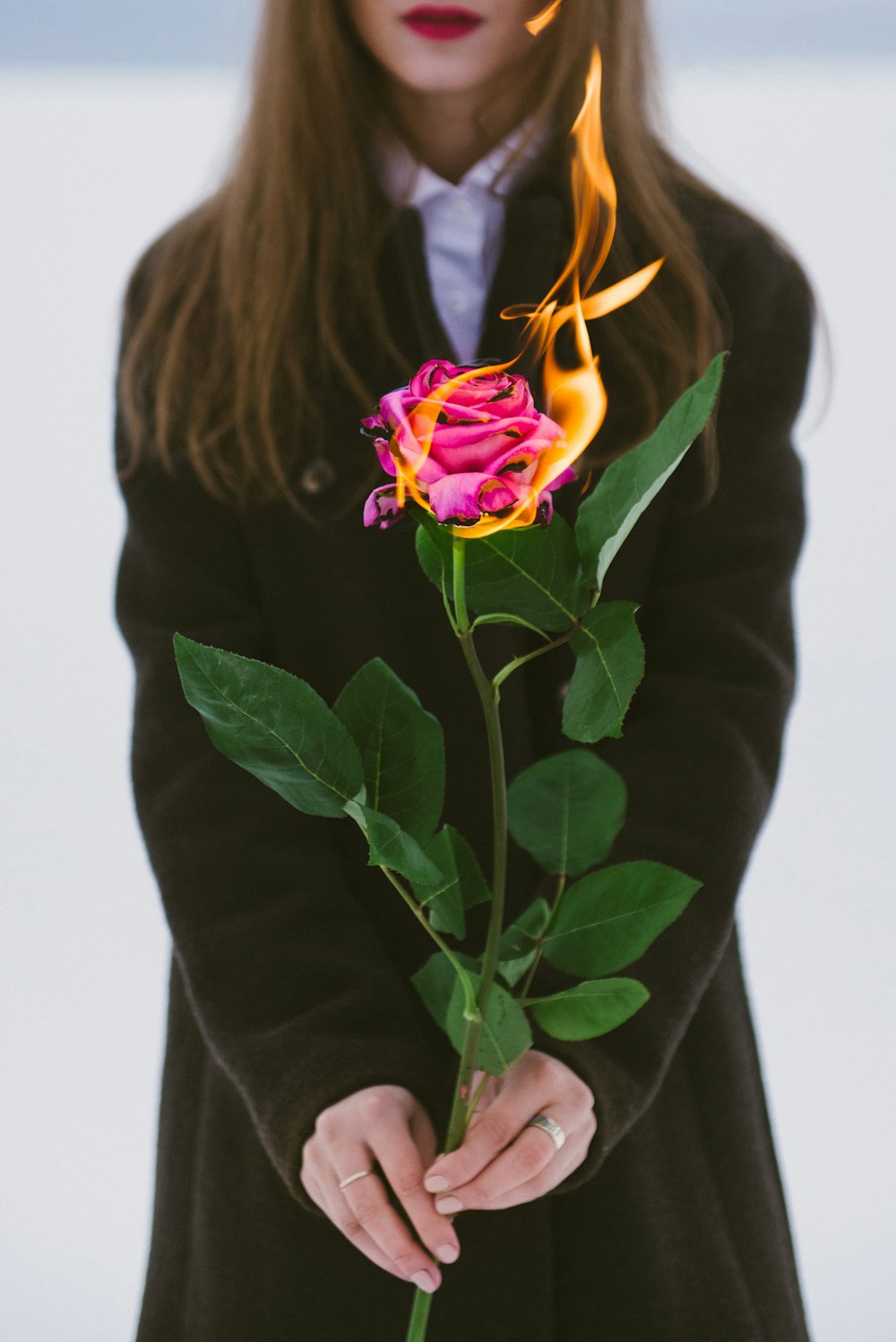 donna in camicia nera a maniche lunghe che tiene il fiore viola