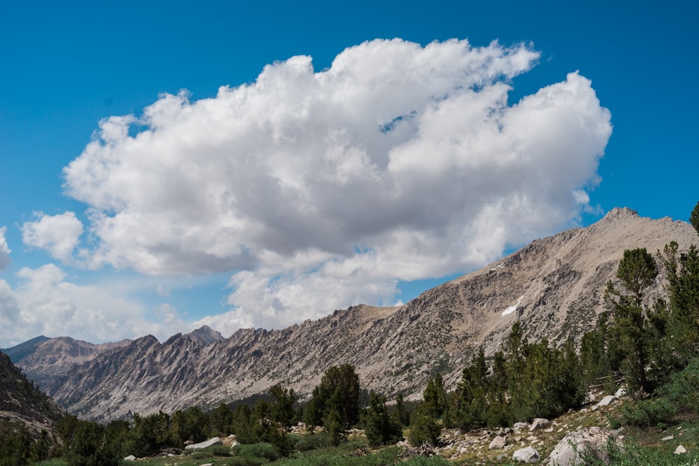 green trees near brown mountain under white clouds and blue sky during daytime