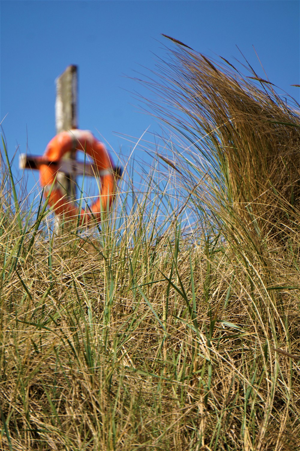 woman in orange shorts and black brassiere walking on green grass field during daytime