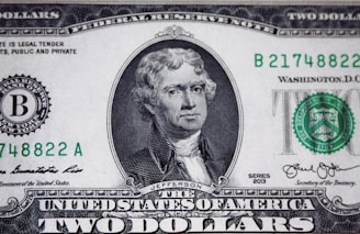us dollar bill on black and white textile