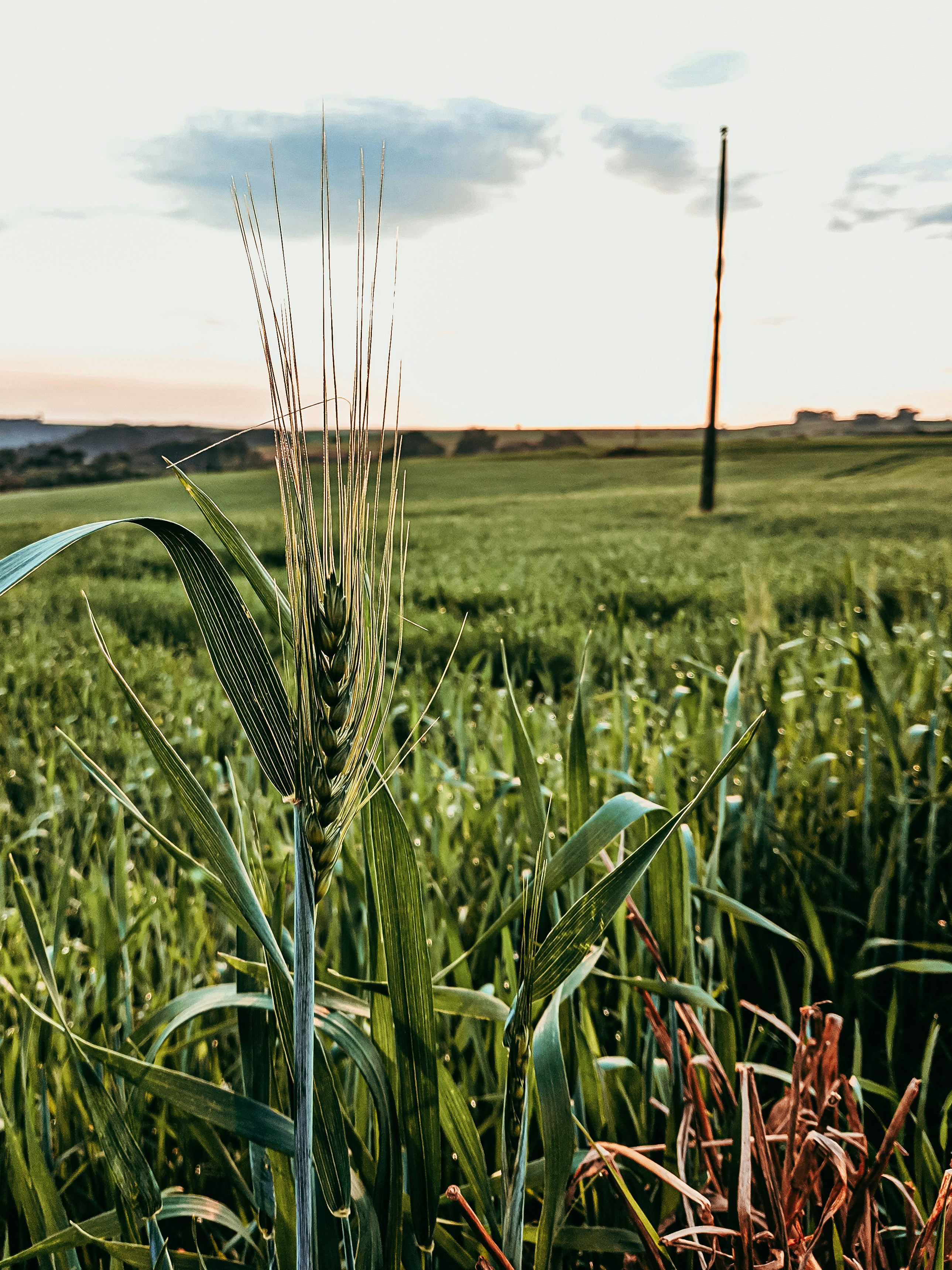 Photo by claitonconto