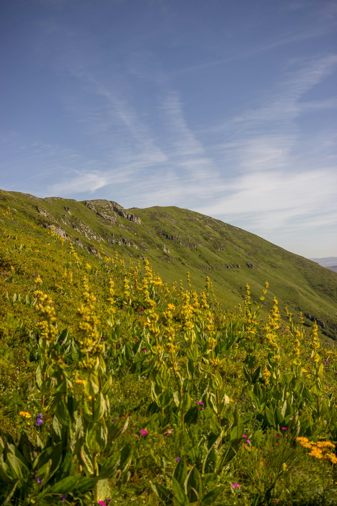 green grass field on hill under blue sky during daytime