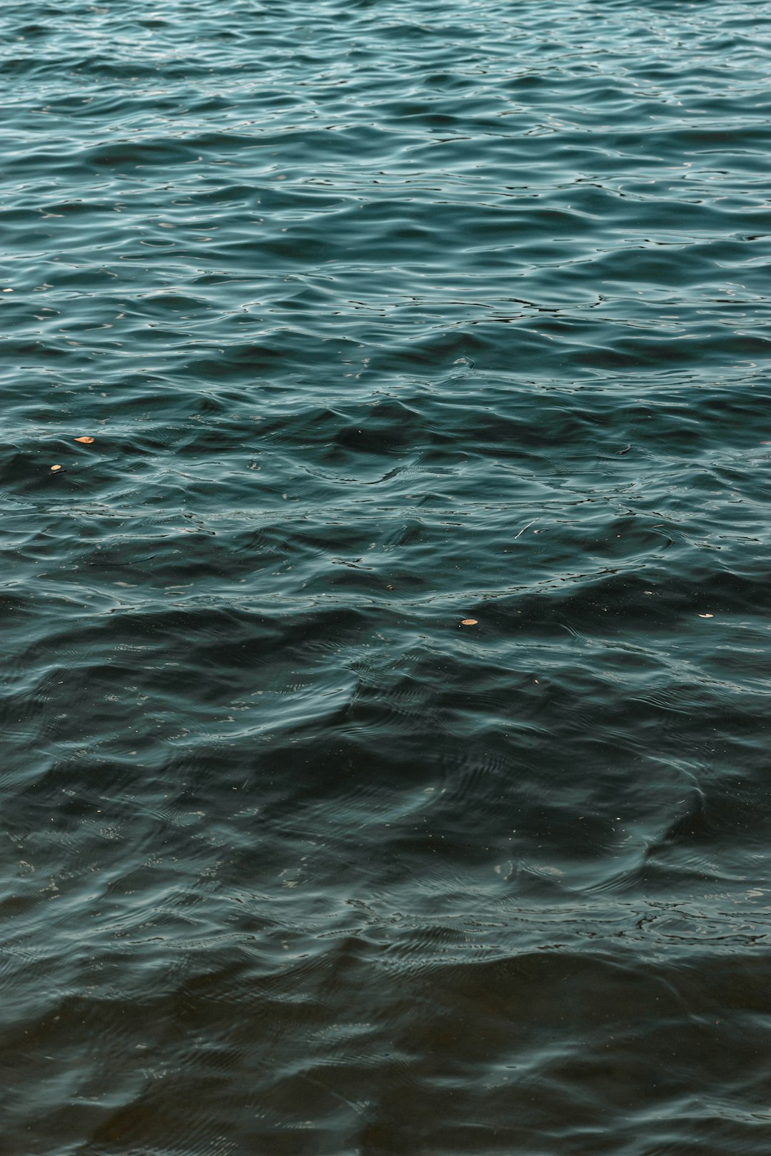 person swimming on sea during daytime