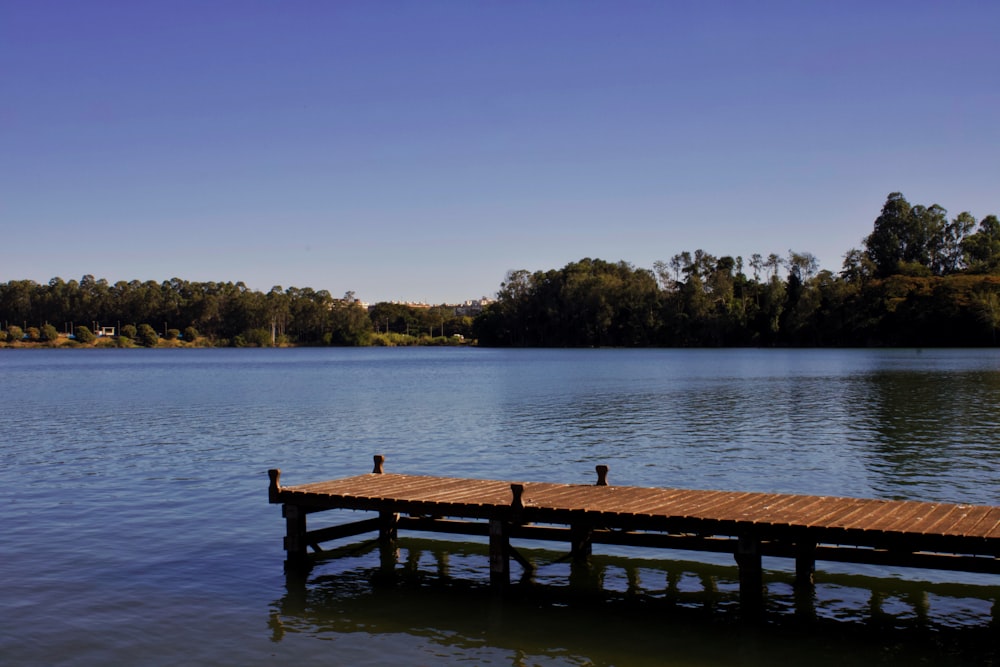 Muelle de madera marrón en el lago durante el día