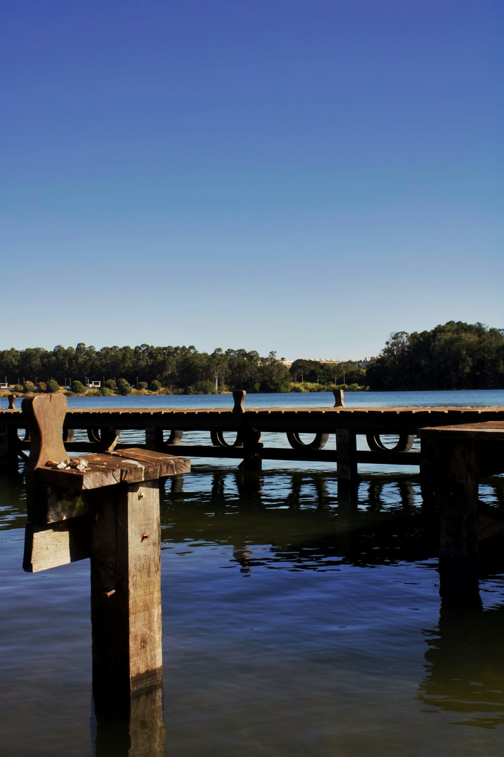 brown wooden dock on lake during daytime