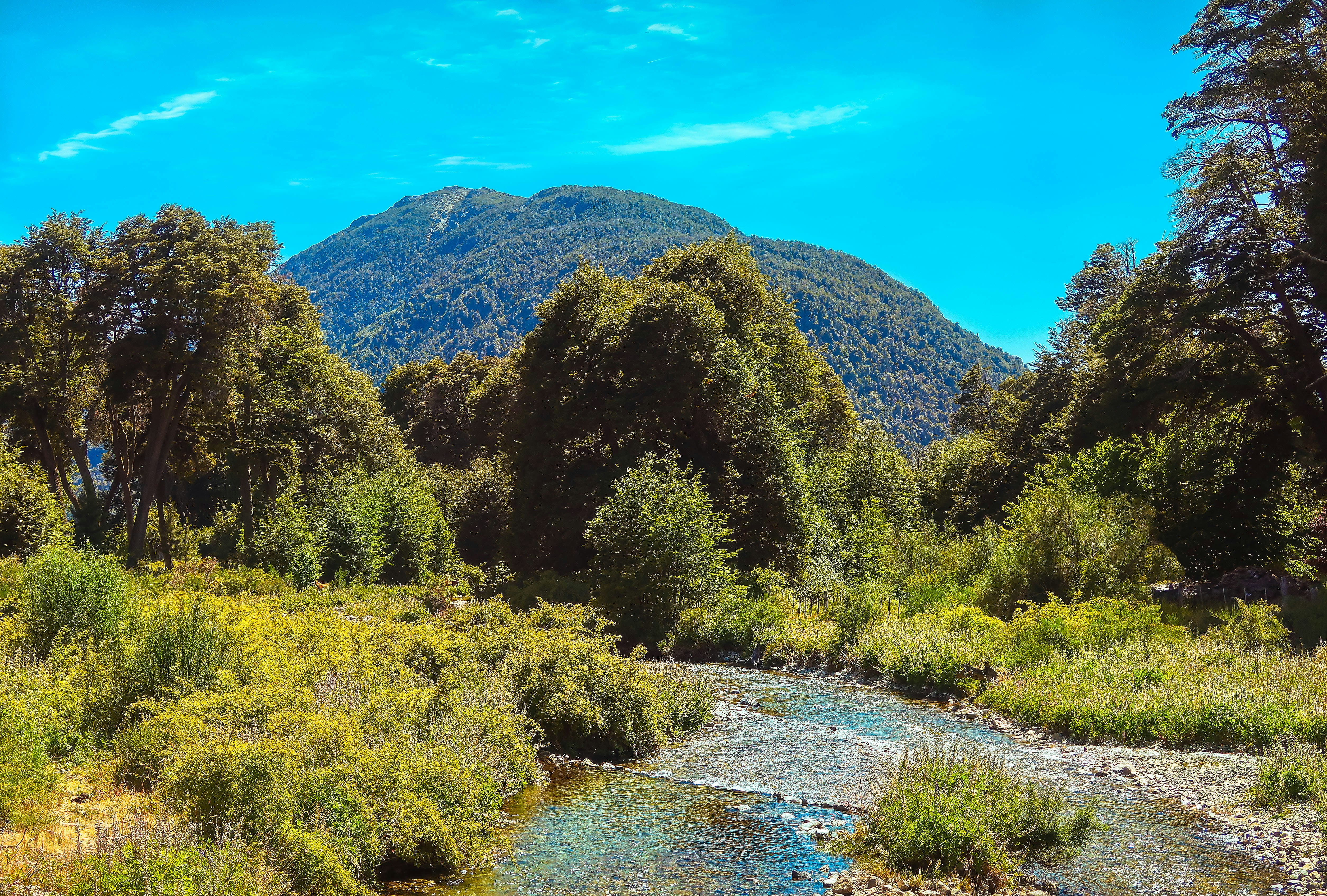 Photo by argentinanatural