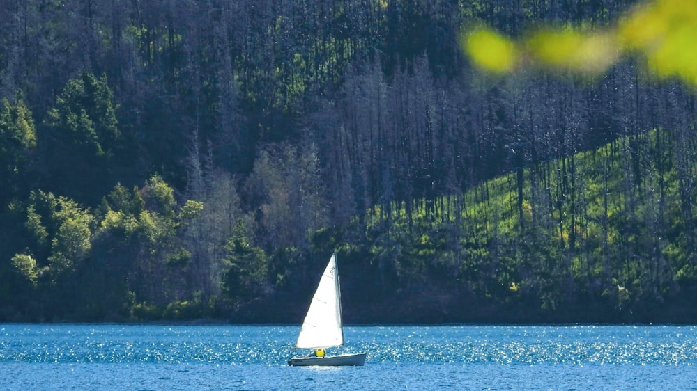 white sailboat on blue sea near green trees during daytime