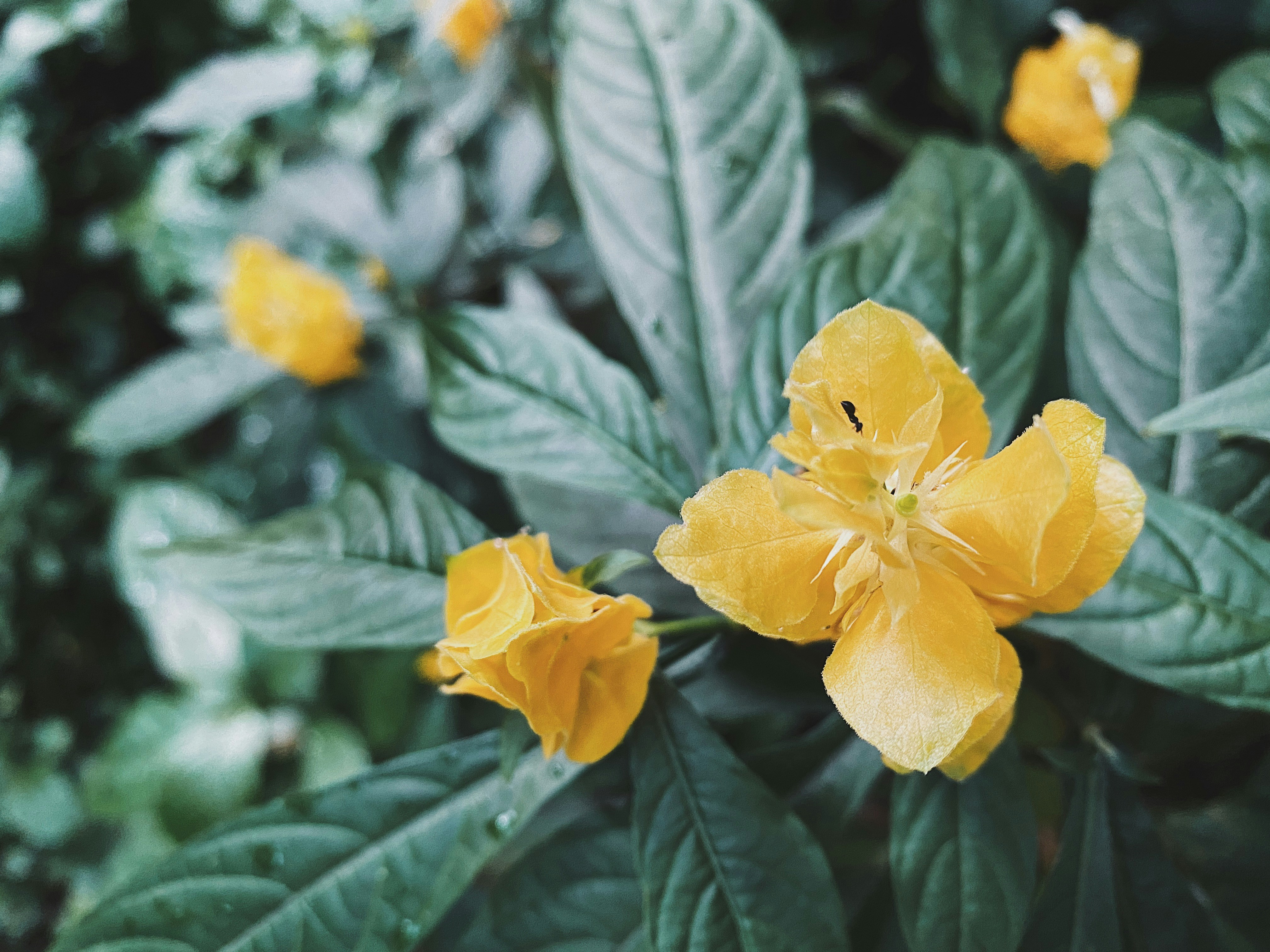 Photo by jennyliu07
