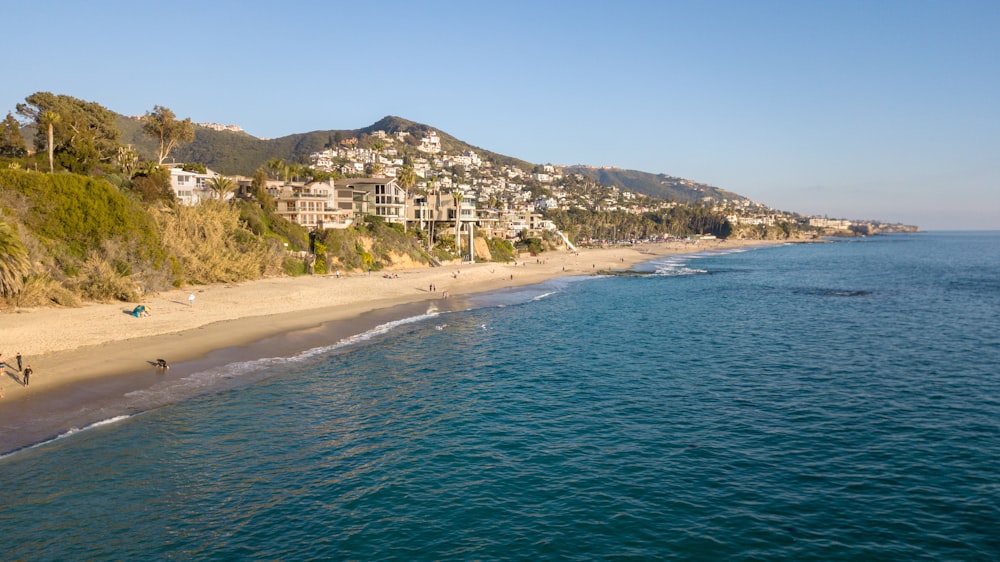 aerial view of beach during daytime