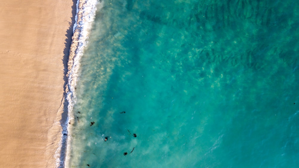 aerial view of beach during daytime