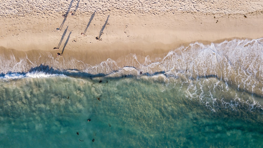 Veduta aerea di persone sulla spiaggia durante il giorno
