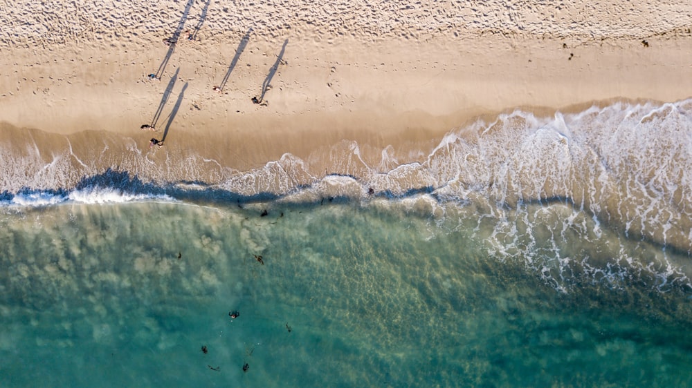 Vue aérienne de personnes sur la plage pendant la journée