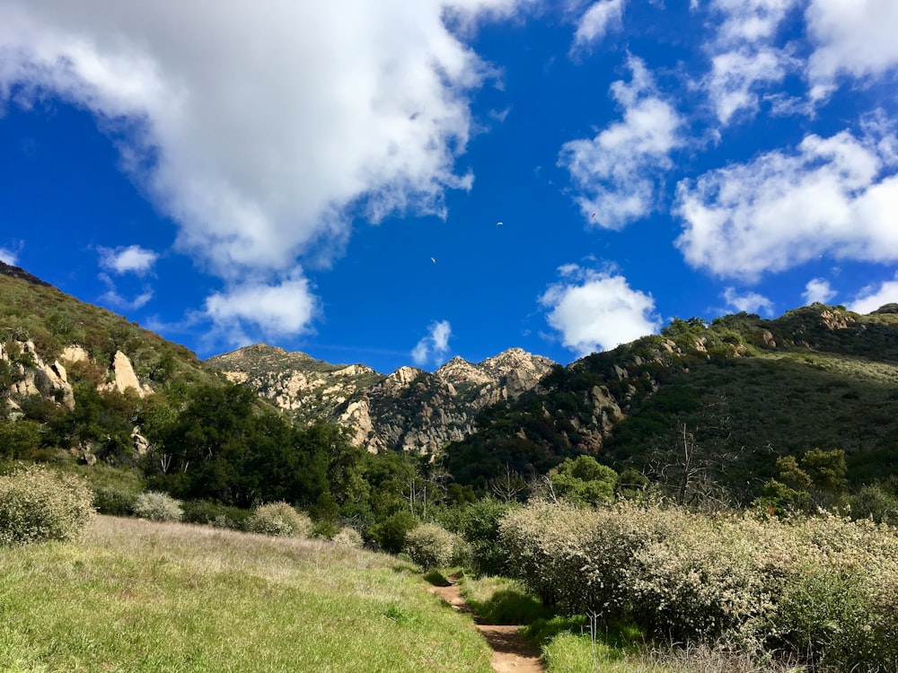 green grass field near mountain under blue sky during daytime