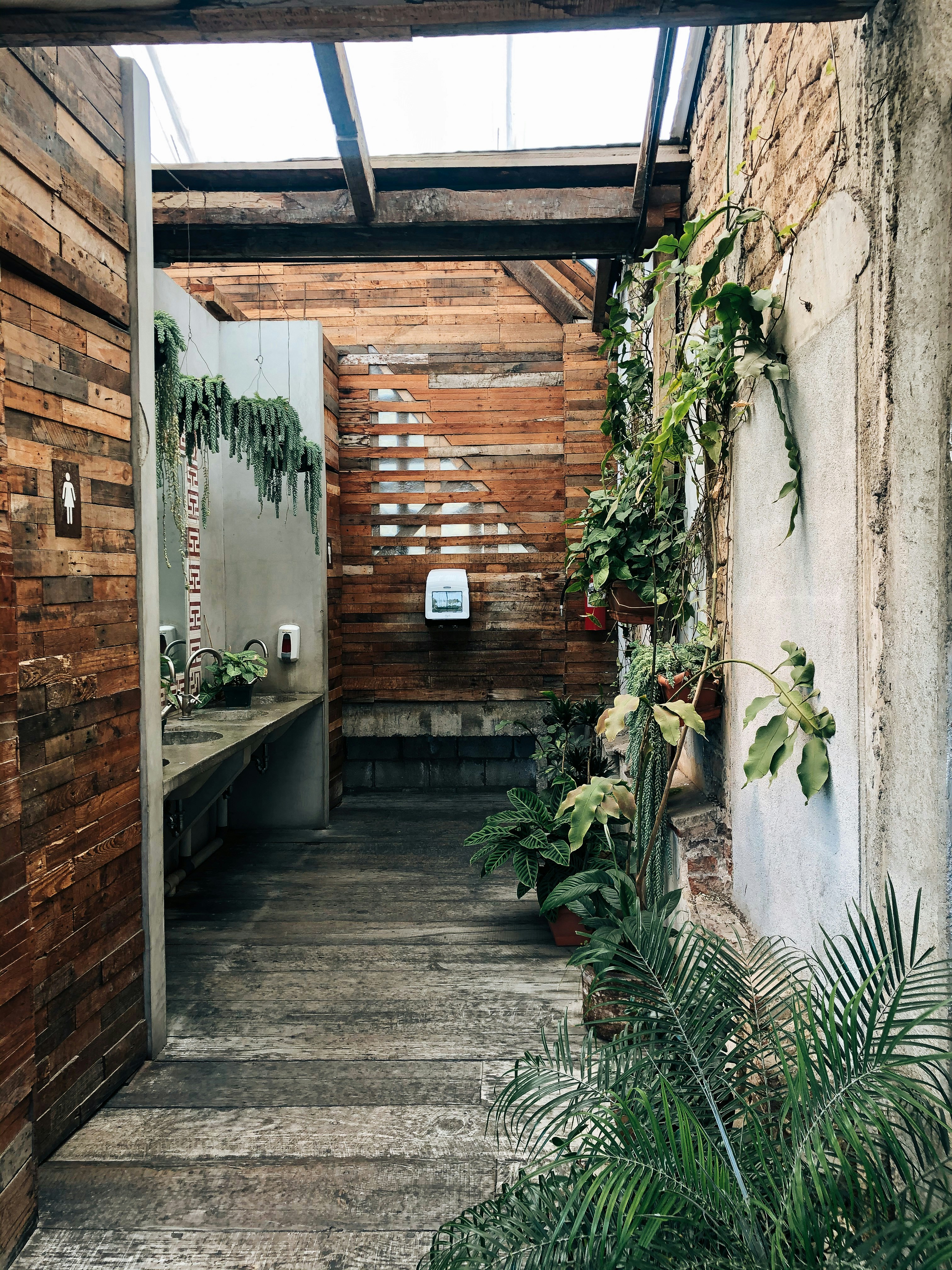 green plants on brown wooden wall