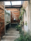 green plants on brown wooden wall