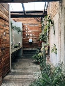 green plants on brown wooden wall