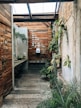 green plants on brown wooden wall