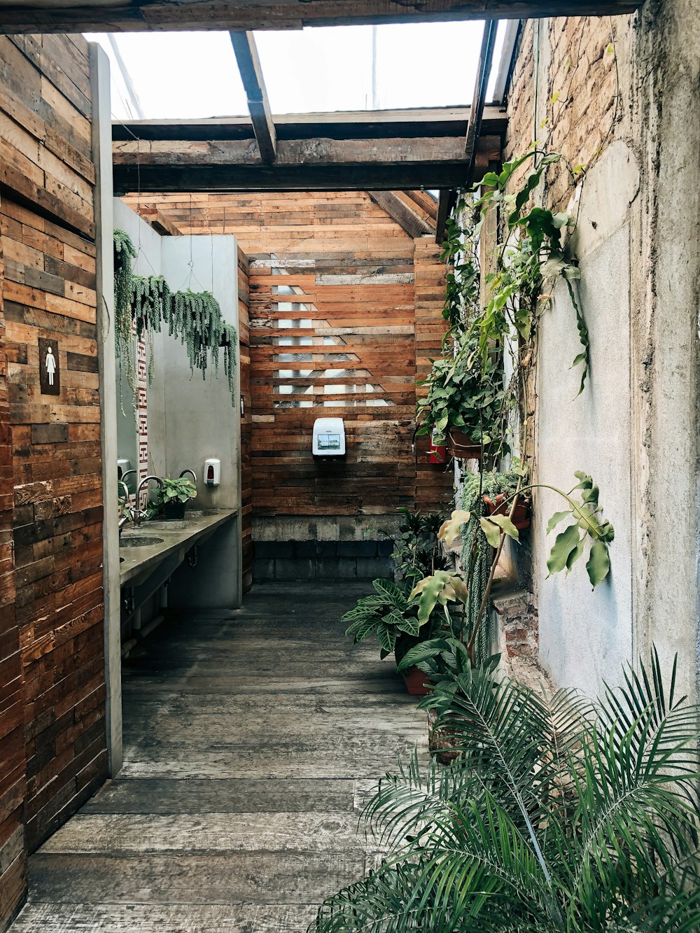 green plants on brown wooden wall