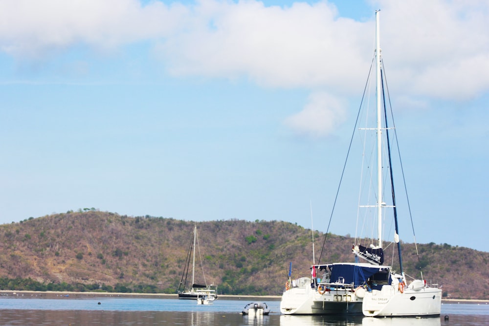 white sailboat on sea during daytime