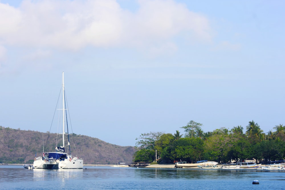 weißes Boot auf See in der Nähe grüner Bäume während des Tages