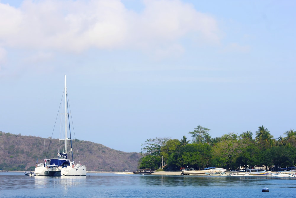 white boat on sea near green trees during daytime