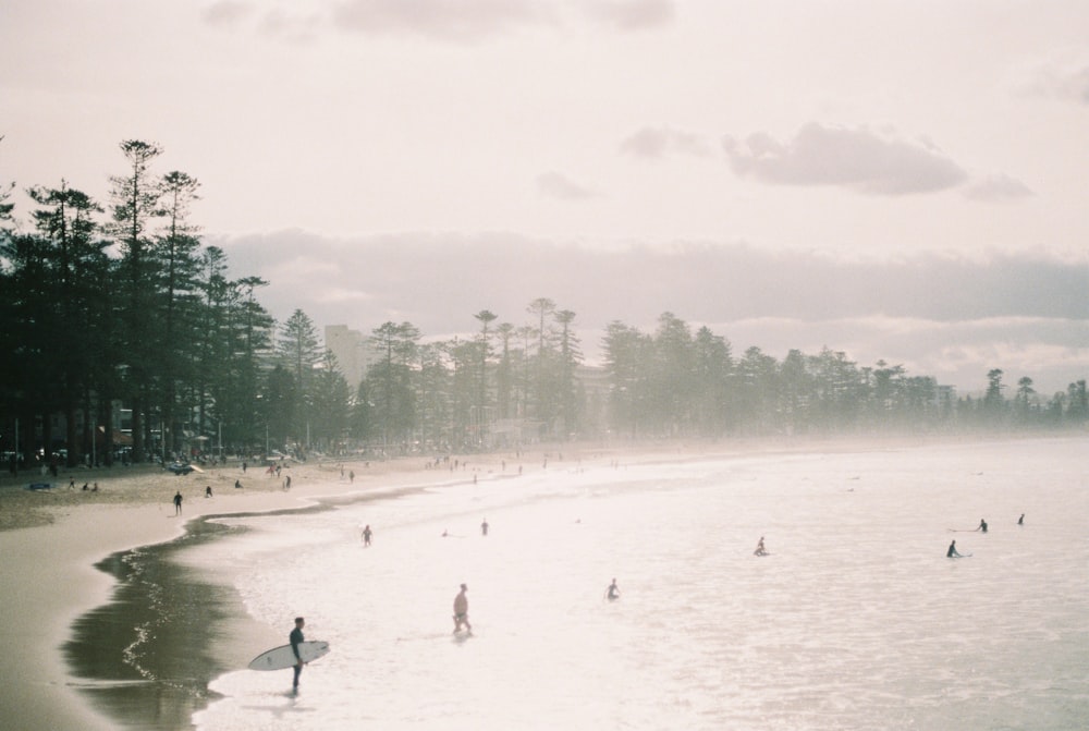 people walking on beach during daytime