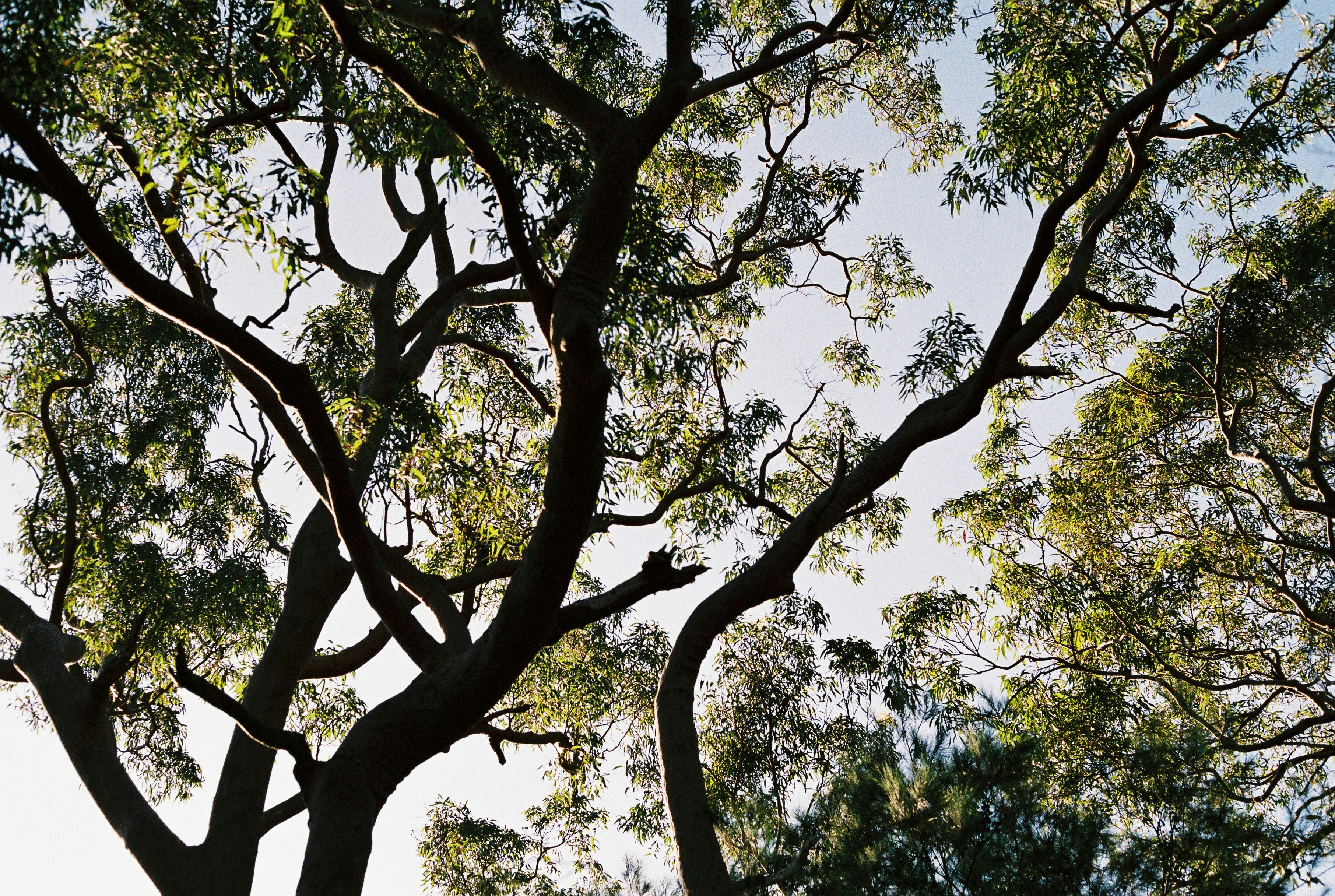 Photo by callumpastuszak