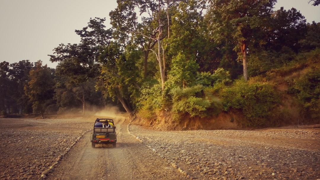 Travel Tips and Stories of Rajaji national park in India