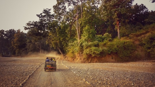 Rajaji national park things to do in Dehradun