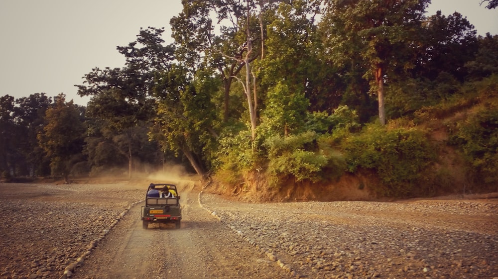 blue suv on road between green trees during daytime