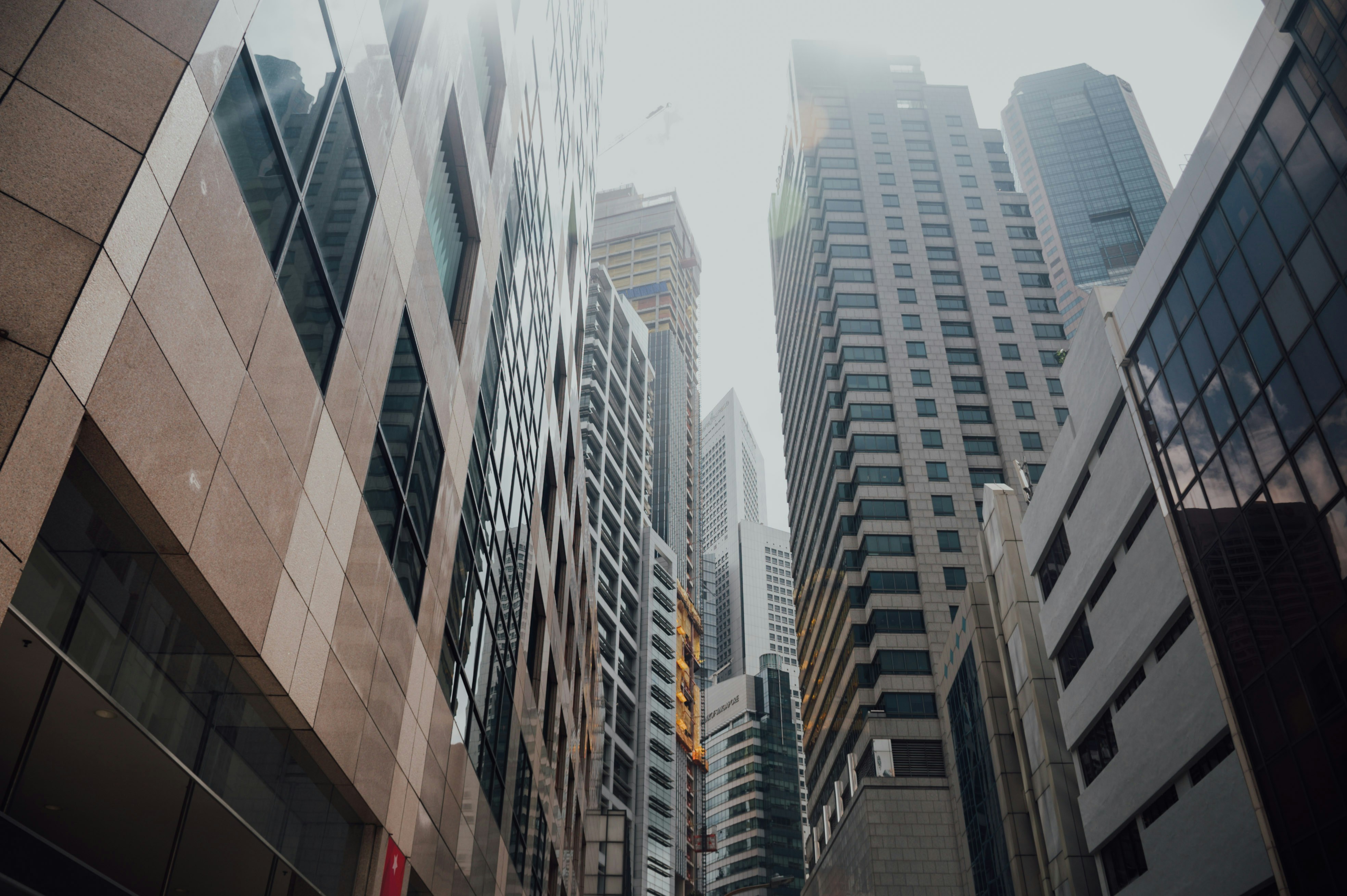 Photo by chuttersnap