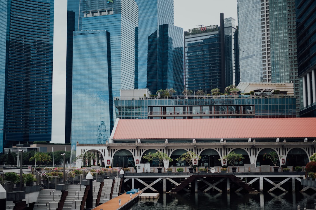 red and white train on bridge near city buildings during daytime