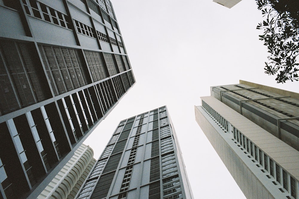 low angle photography of high rise building