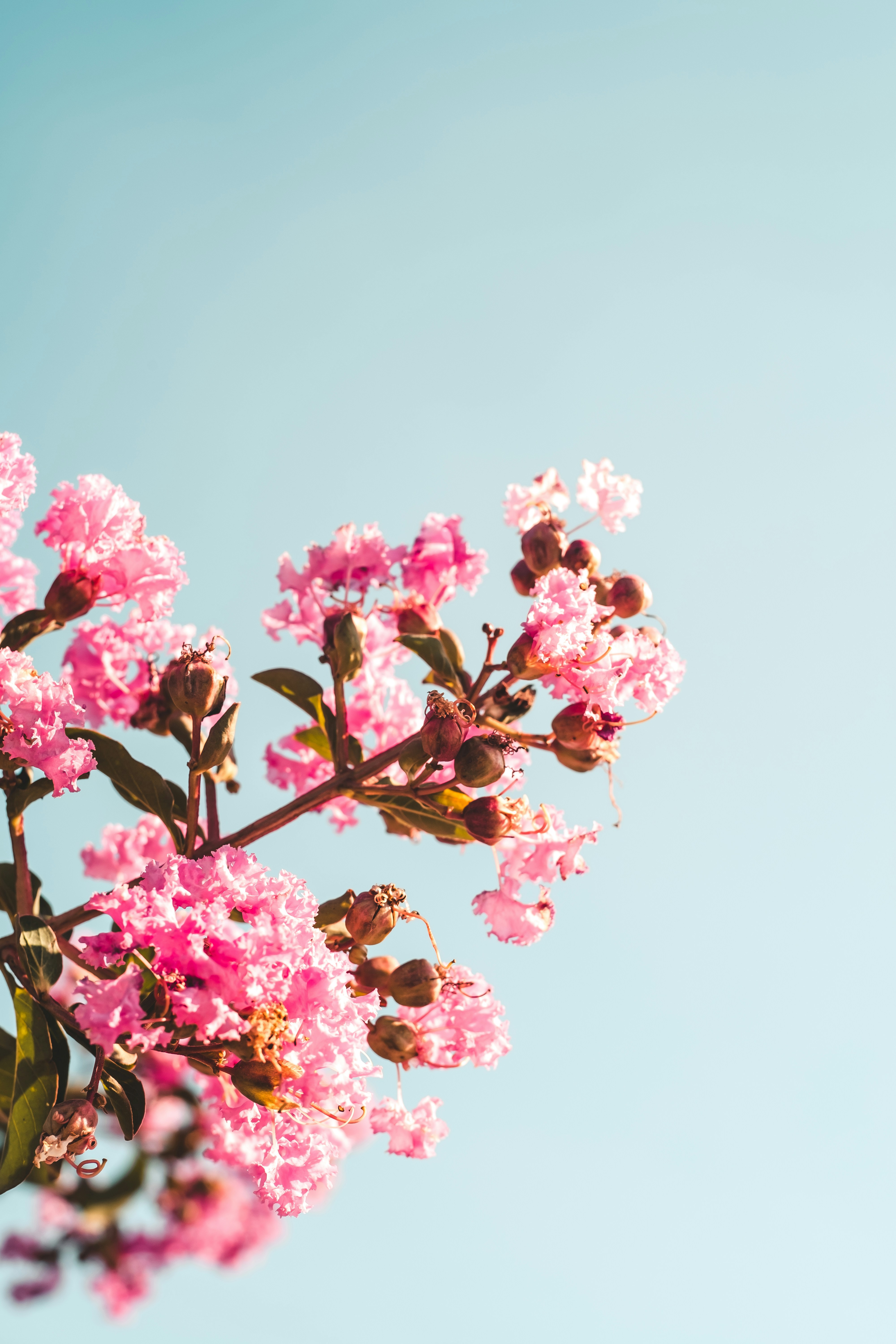 Photo by xiexianghua