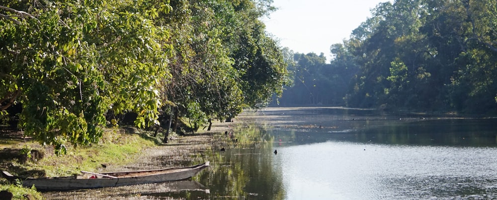 brown boat on river near green trees during daytime