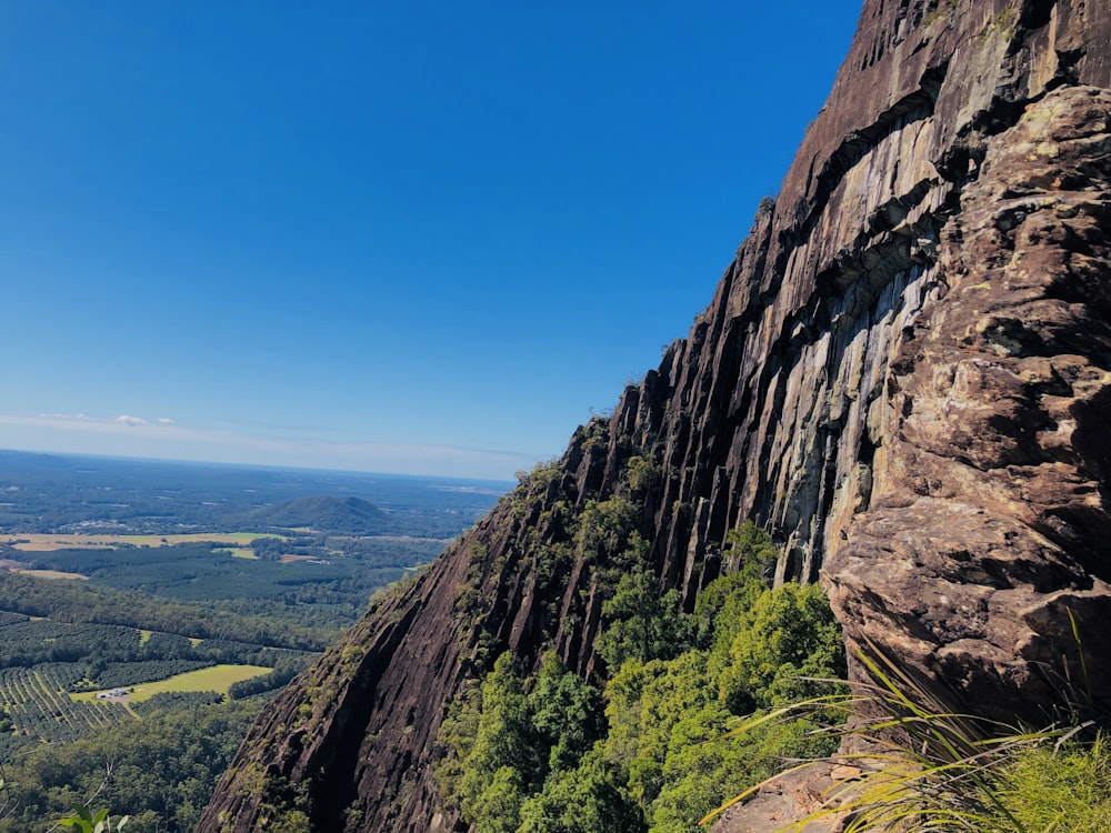 green trees on brown rocky mountain under blue sky during daytime