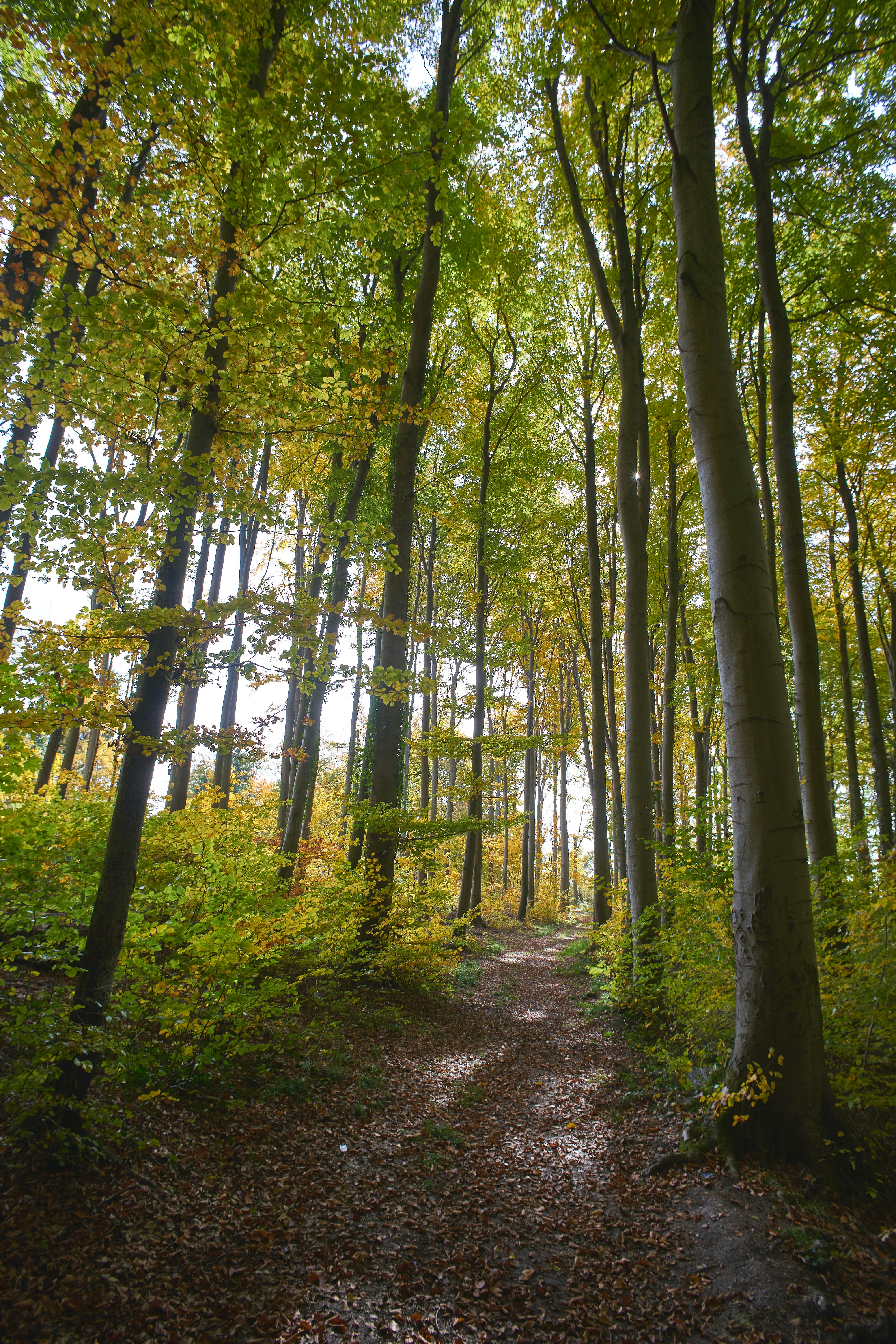 Photo by wolfgang_hasselmann