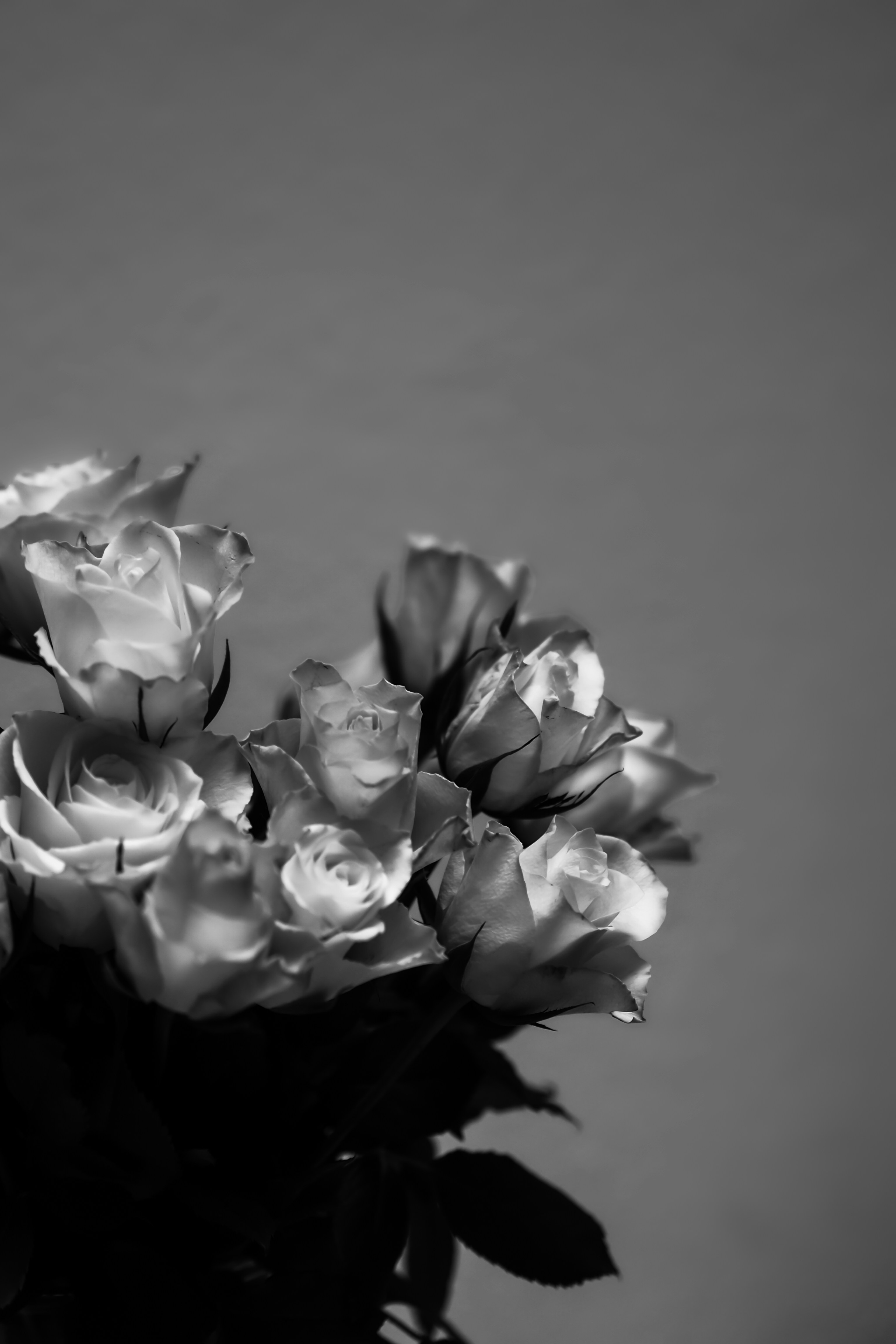 Photo by laurachouette