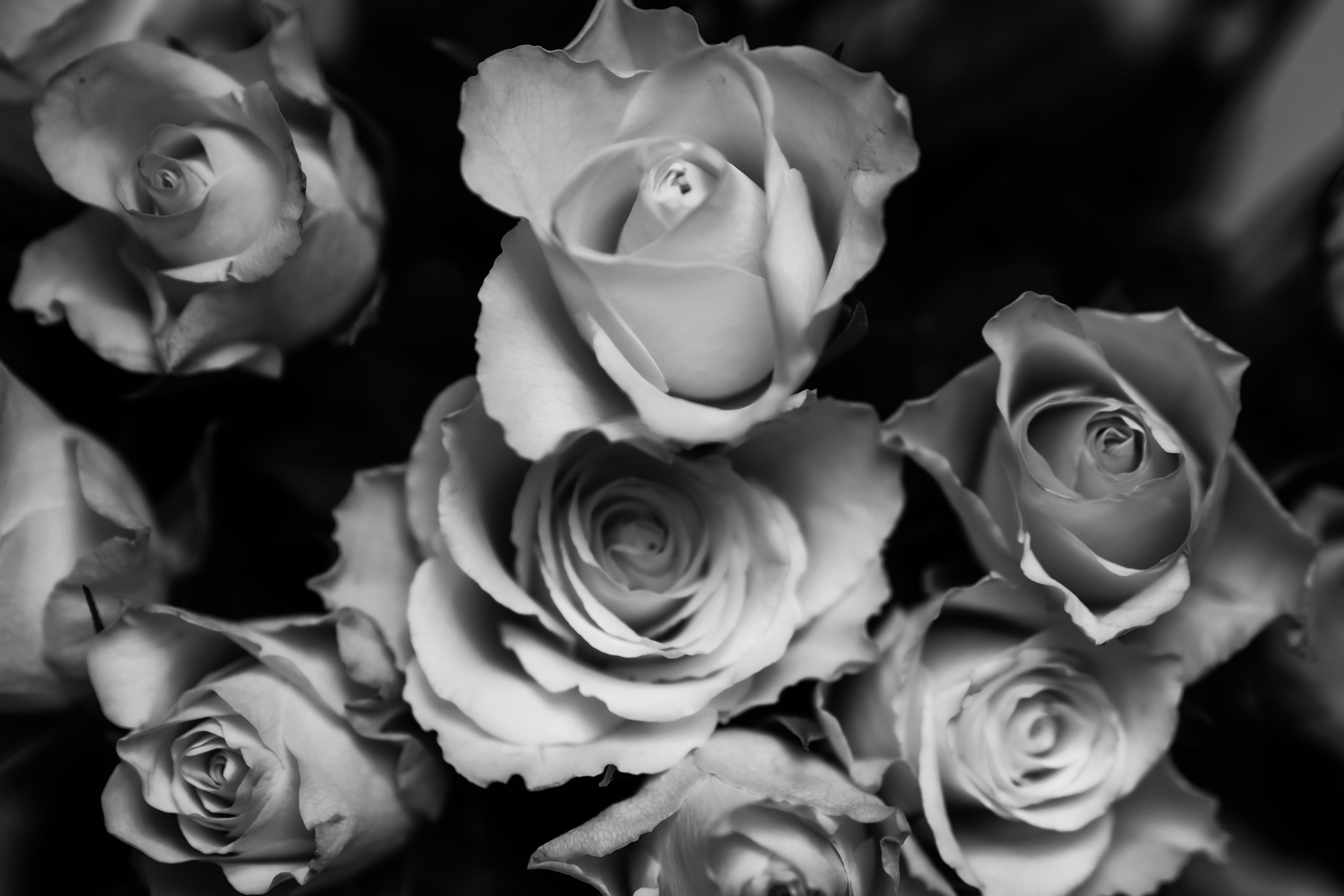 Photo by laurachouette