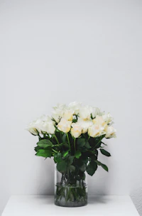 Elegant white roses arranged in a minimalist glass container, set against a clean, bright background.