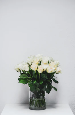 Elegant white roses arranged in a minimalist glass container, set against a clean, bright background.