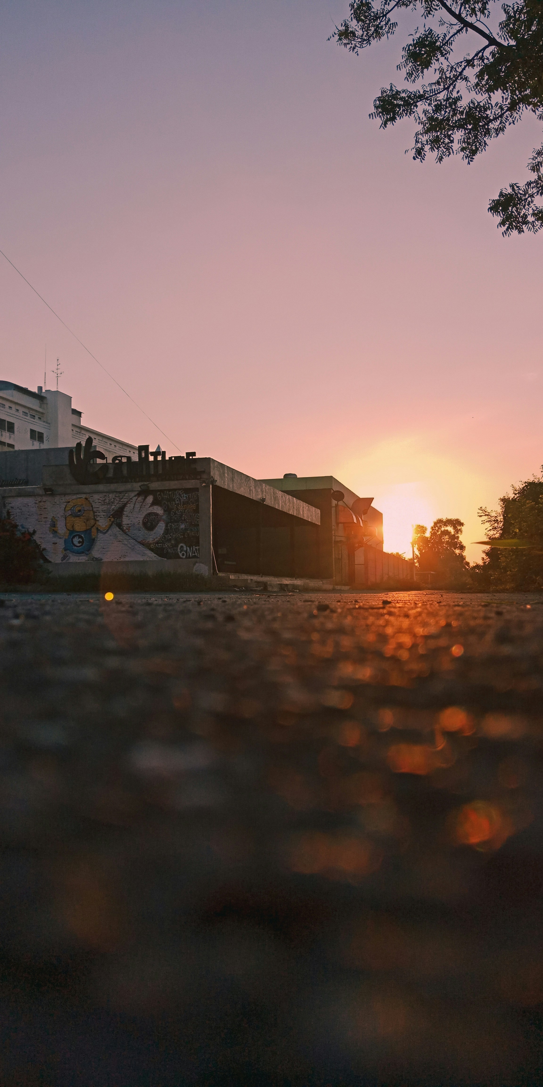 Vibrant Sunrise Canvas