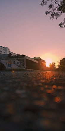 A cityscape at sunrise, with the sun casting a warm glow across a textured urban street. Buildings line the horizon, and a large tree branch extends from the upper right corner. A mural is visible on one of the buildings, depicting a character in bright colors.