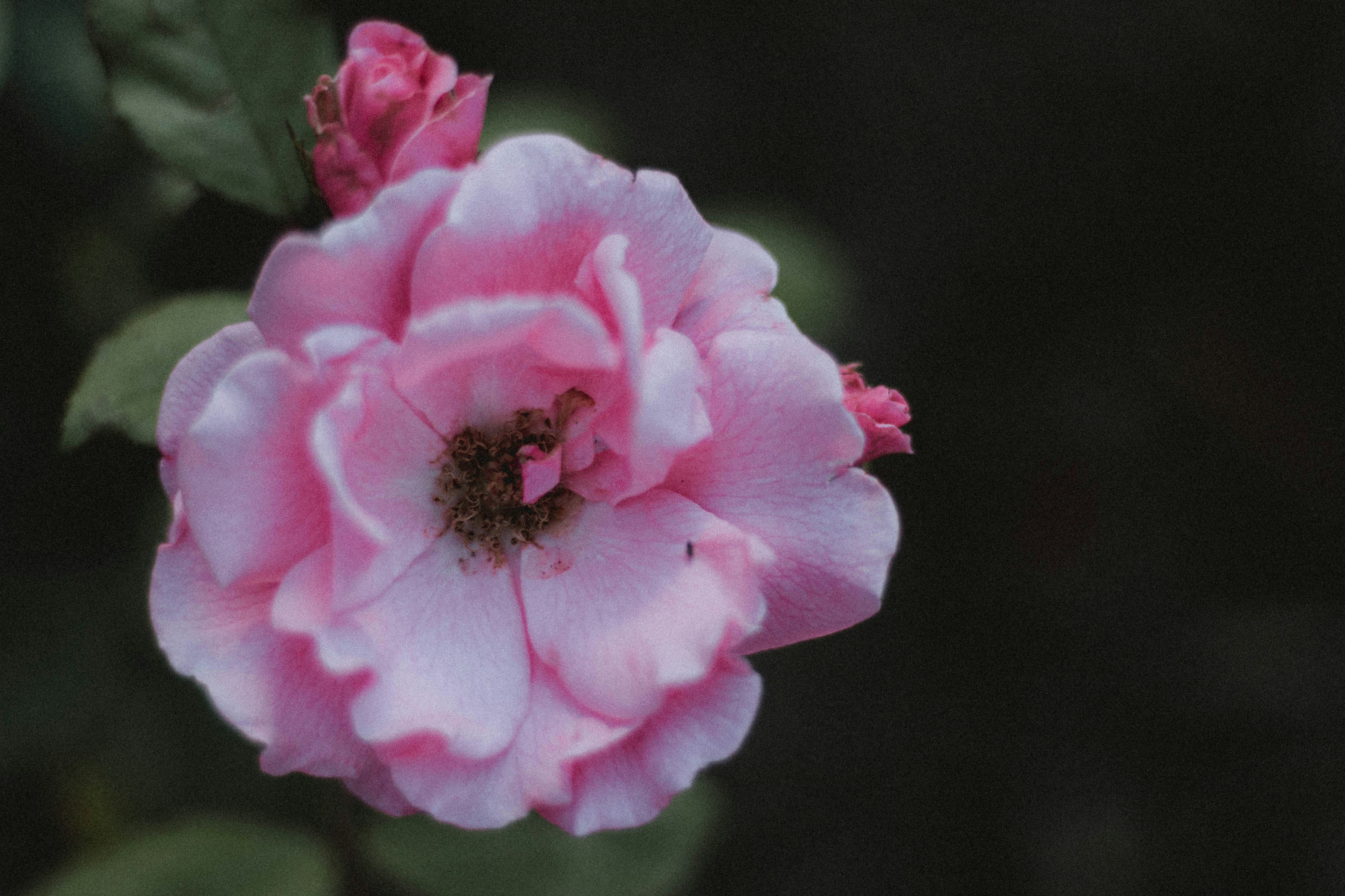 Photo by matreding