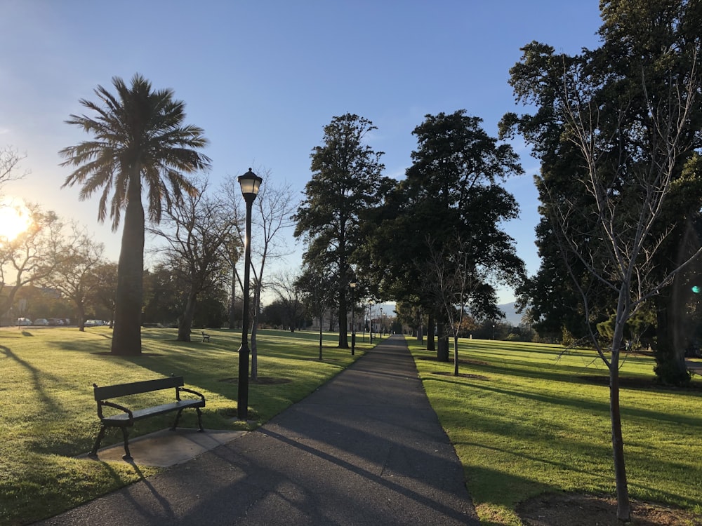 black street lamp on green grass field near trees during daytime