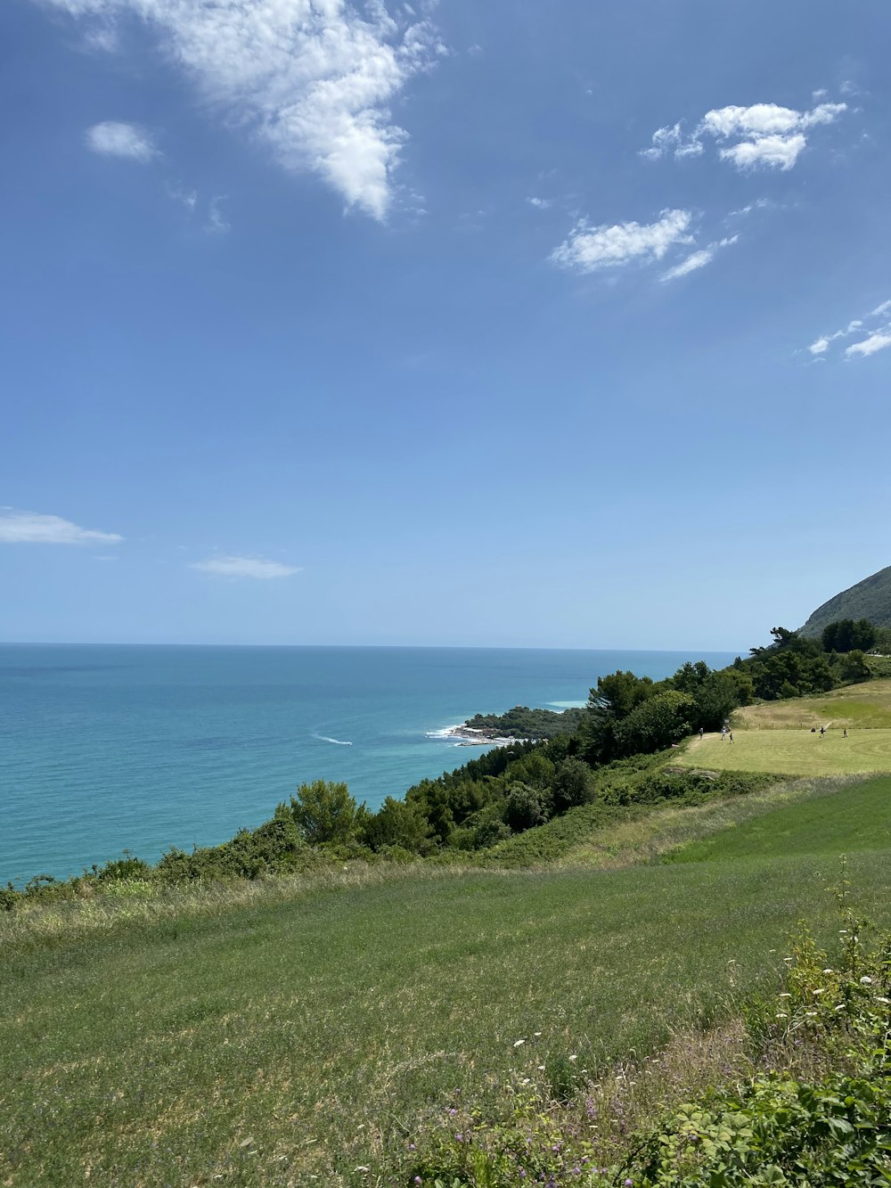 green grass field near body of water under blue sky during daytime