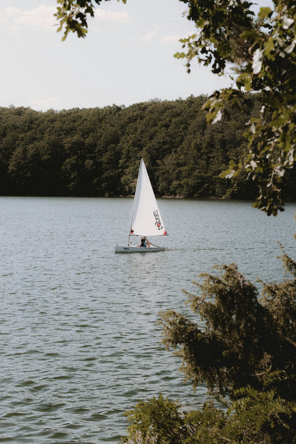 velero blanco en el cuerpo de agua durante el día