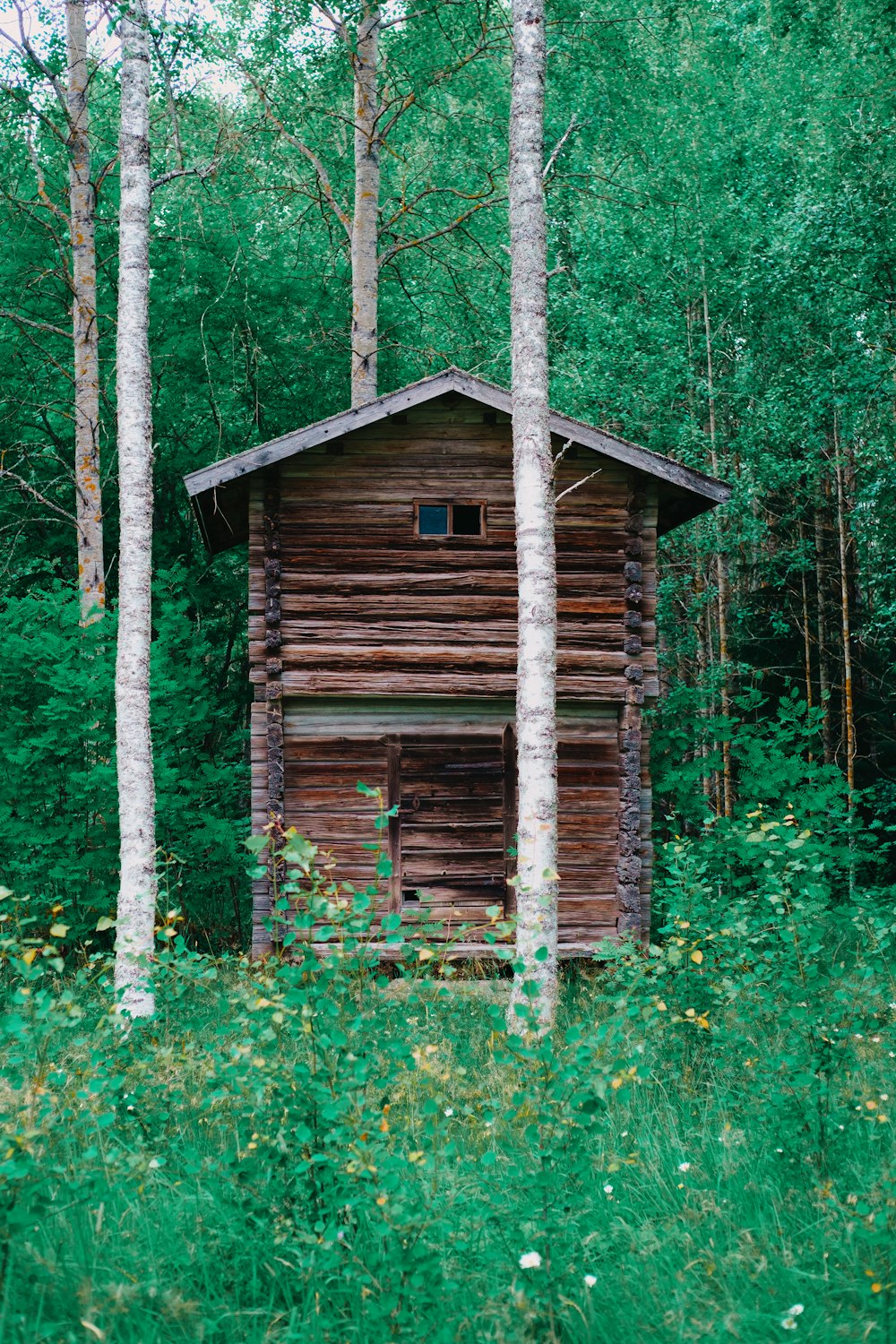 brown wooden house in the woods