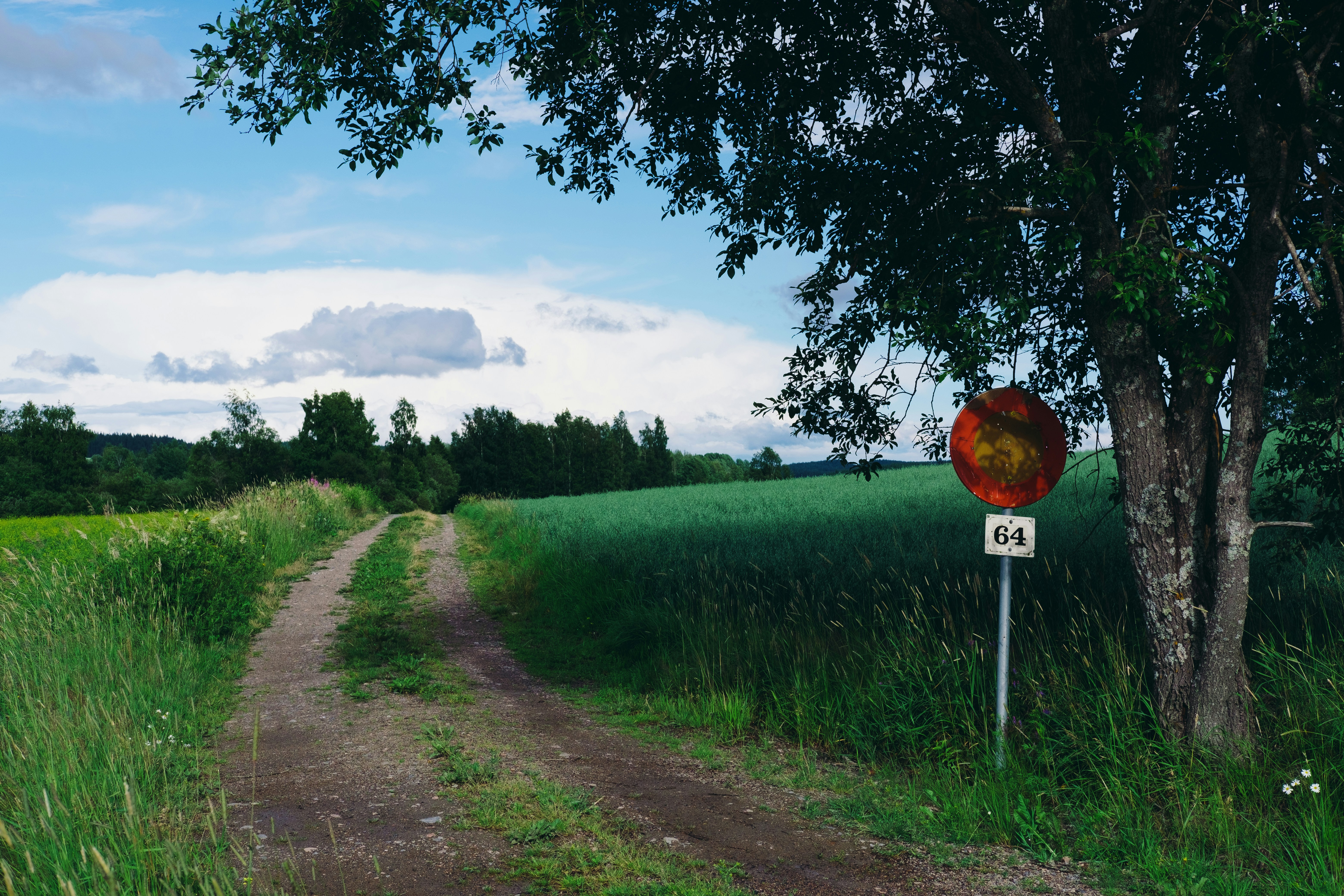With Pick #64, the Leafs select Tinus Luc Koblar