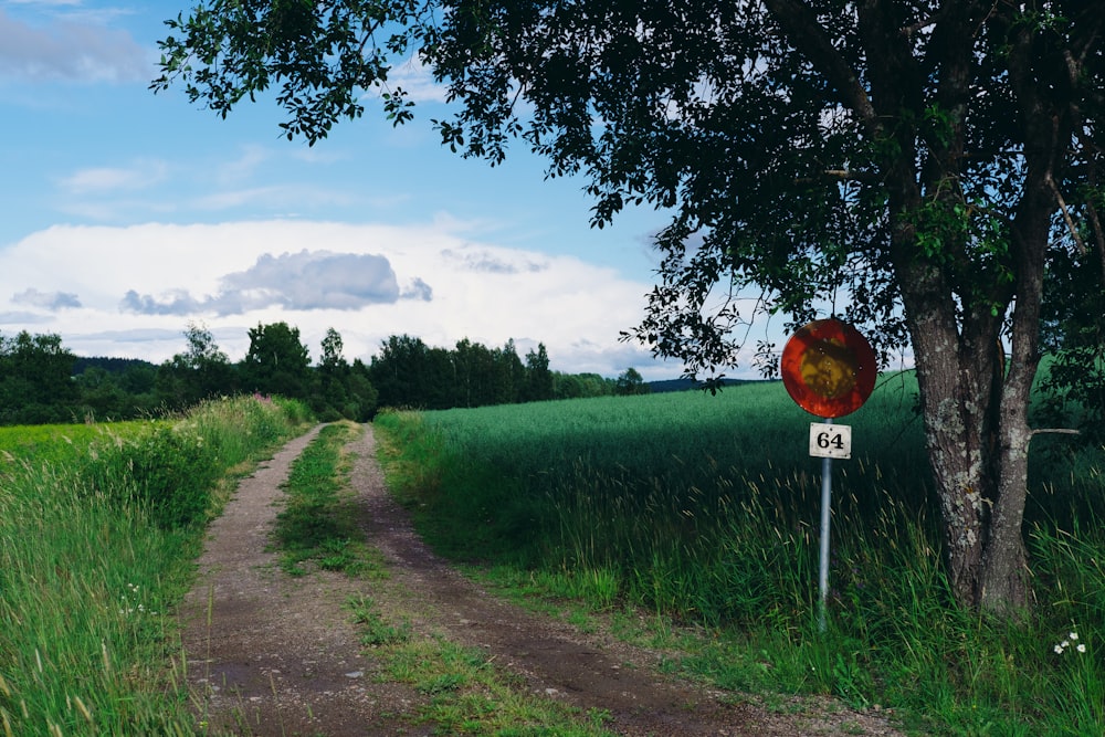 Rot-weißes Stoppschild in der Nähe des grünen Grasfeldes tagsüber